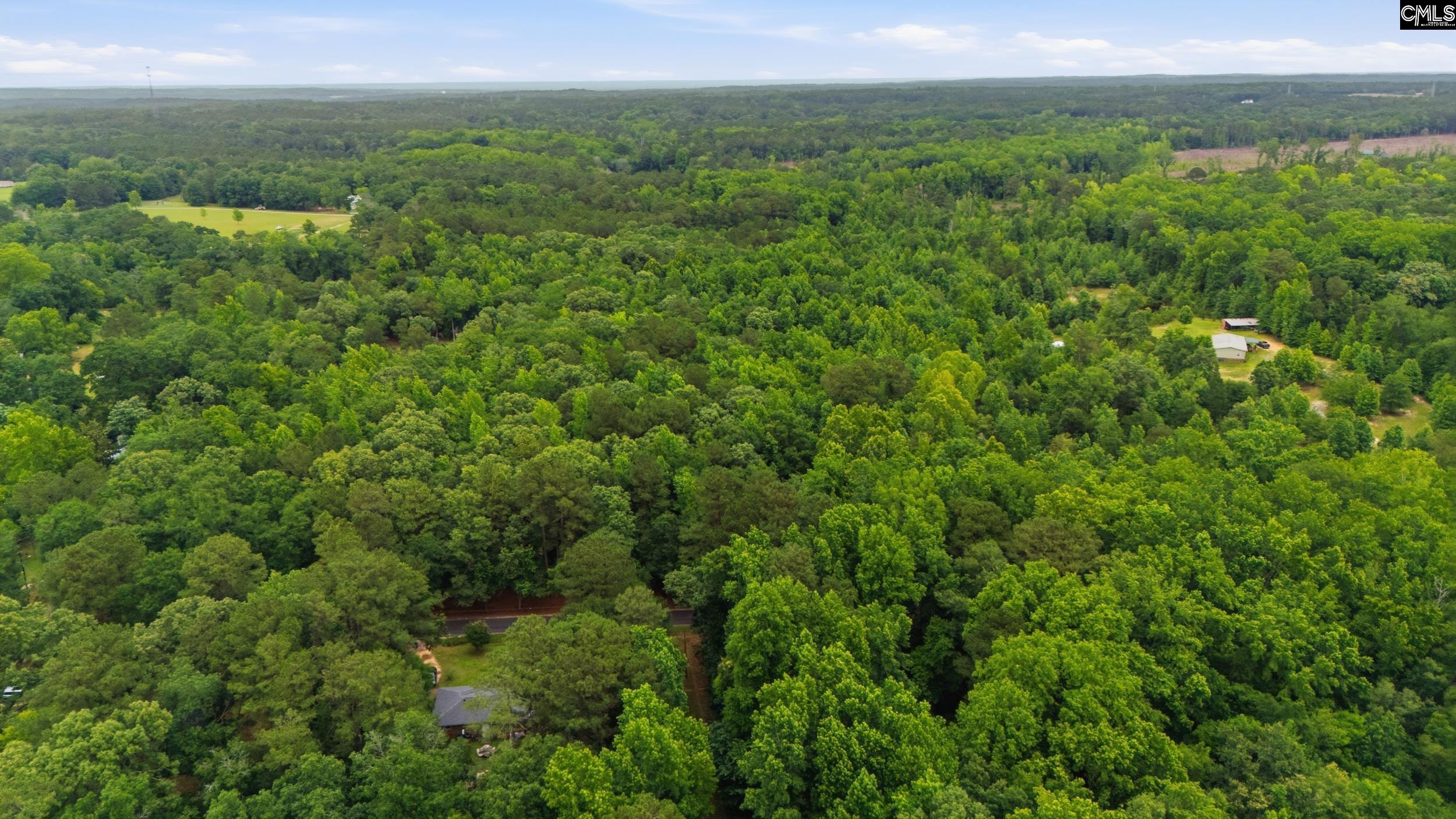 Tbd Basil Road Swansea, SC 29160 - Photo 2 of 19