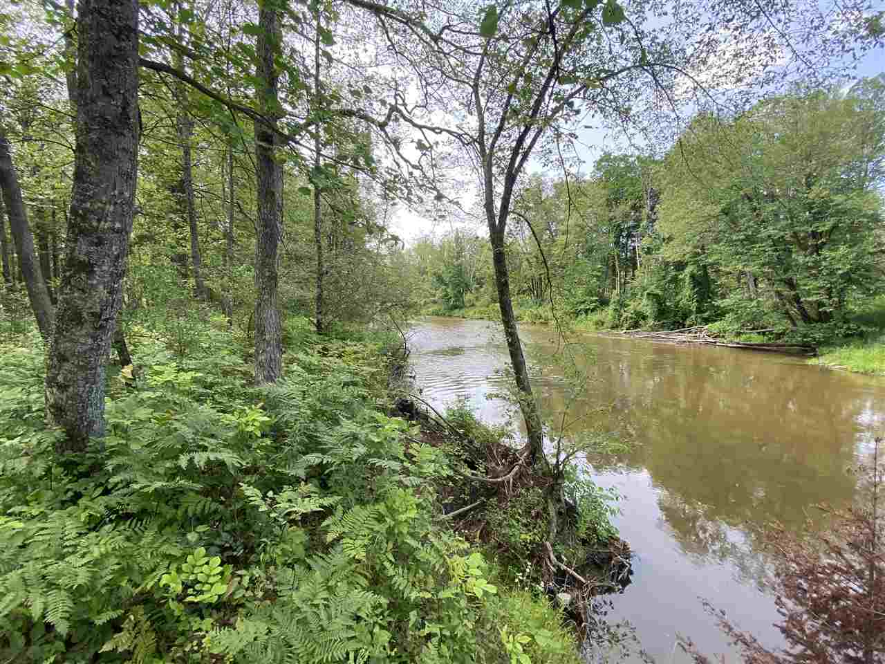 0 Briggs Road Omer, MI 48749 - Photo 1 of 45