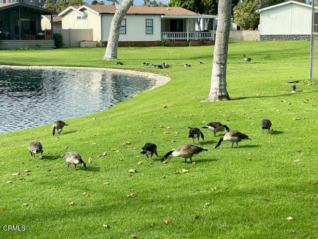 440 Dewberry Lane, Unit 105 Oxnard, CA 93036 - Photo 26 of 75 tempImageFRfWkd