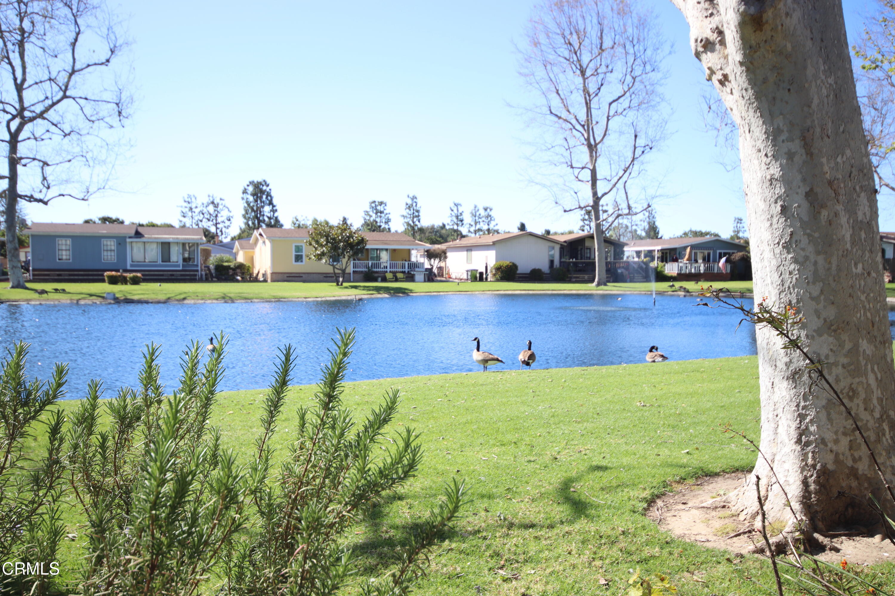 440 Dewberry Lane, Unit 105 Oxnard, CA 93036 - Photo 29 of 75 IMG_1315