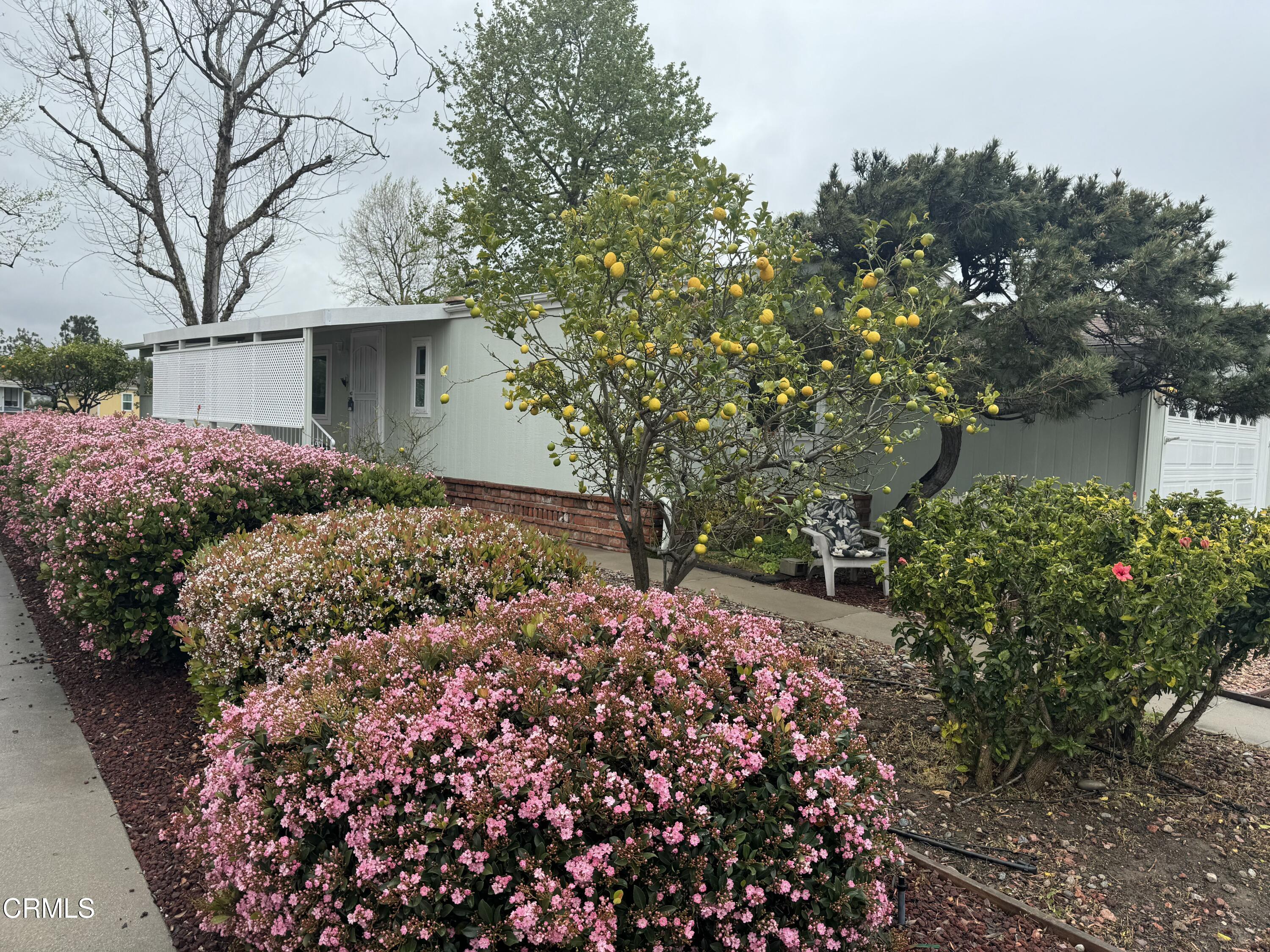 440 Dewberry Lane, Unit 105 Oxnard, CA 93036 - Photo 55 of 75 tempImagenA67eB