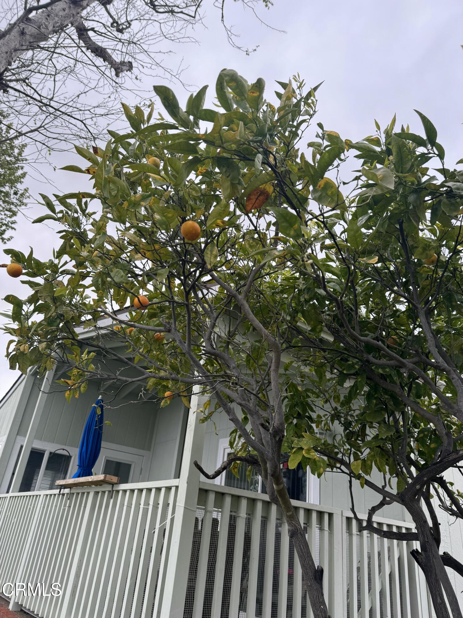 440 Dewberry Lane, Unit 105 Oxnard, CA 93036 - Photo 65 of 75 a view of balcony with wooden floor