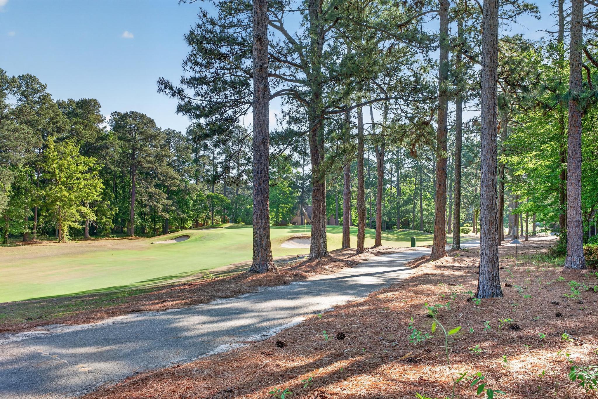 913 Holley Lake Road Aiken, SC 29803 - Photo 40 of 41 062_IMG_5313