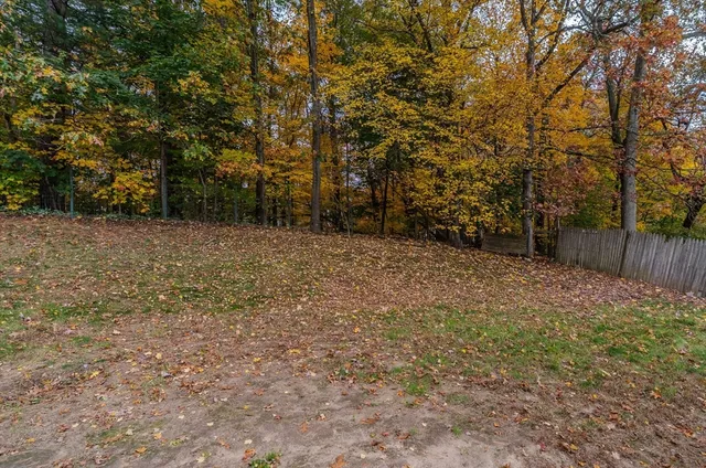 a view of a yard with trees