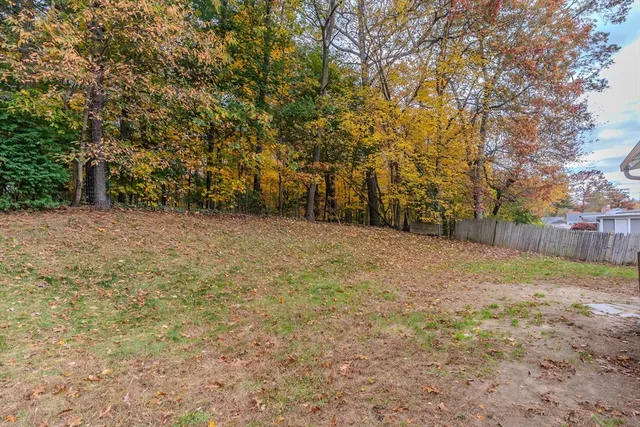 a view of a yard with a tree