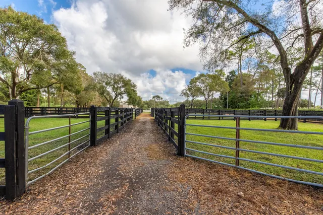 a view of a backyard with plants