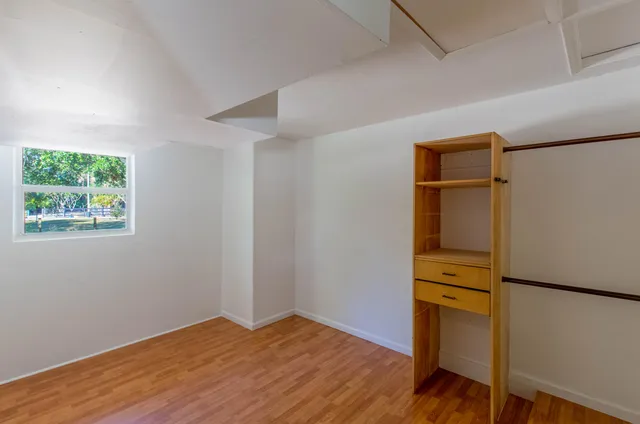 a view of a backyard with large trees and plants