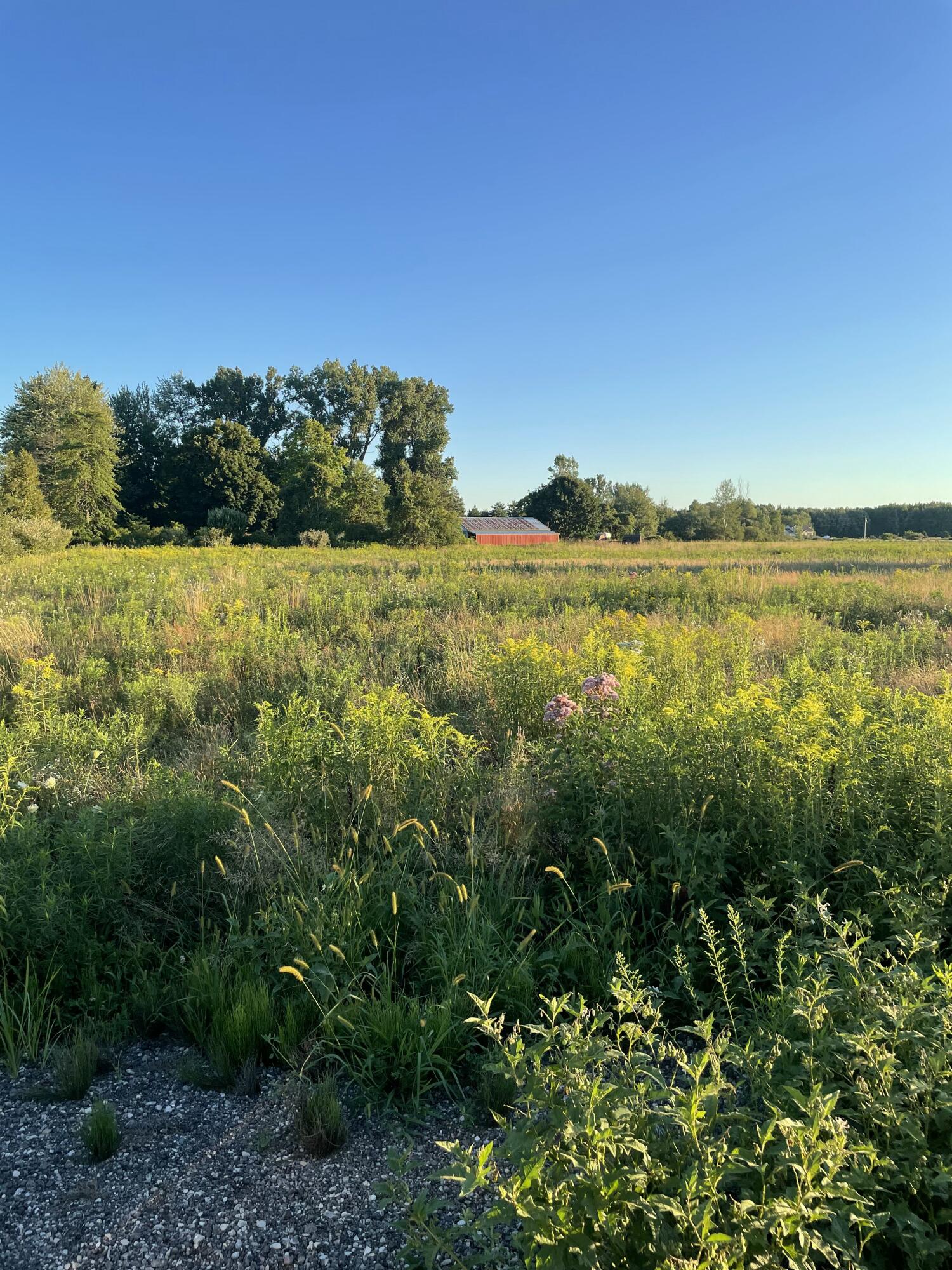 6441 South Sullivan Road Nunica, MI 49448 - Photo 3 of 3 IMG_6315_1769972506072