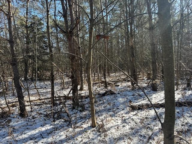 0 North 31 Road Manton, MI 49663 - Photo 1 of 13