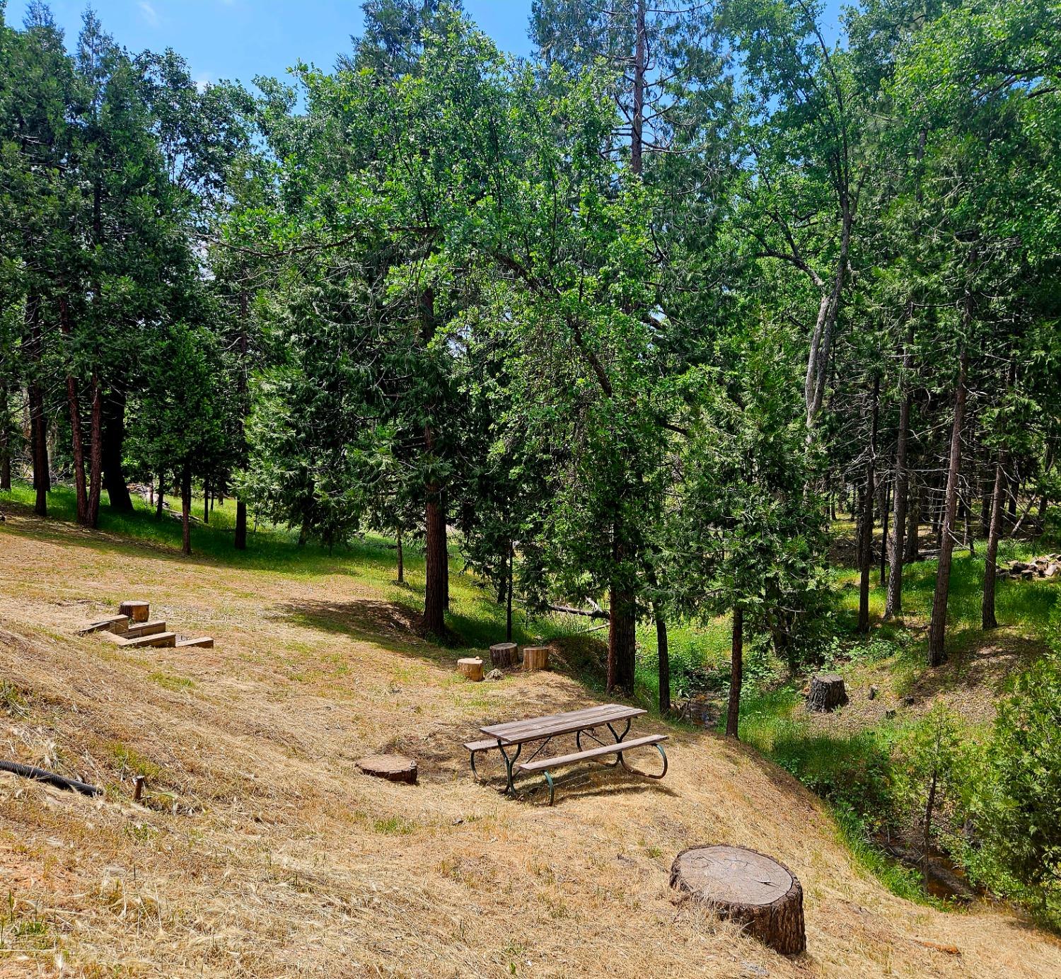 52946 Timberview Road North Fork, CA 93643 - Photo 60 of 65 Gallery Image 60