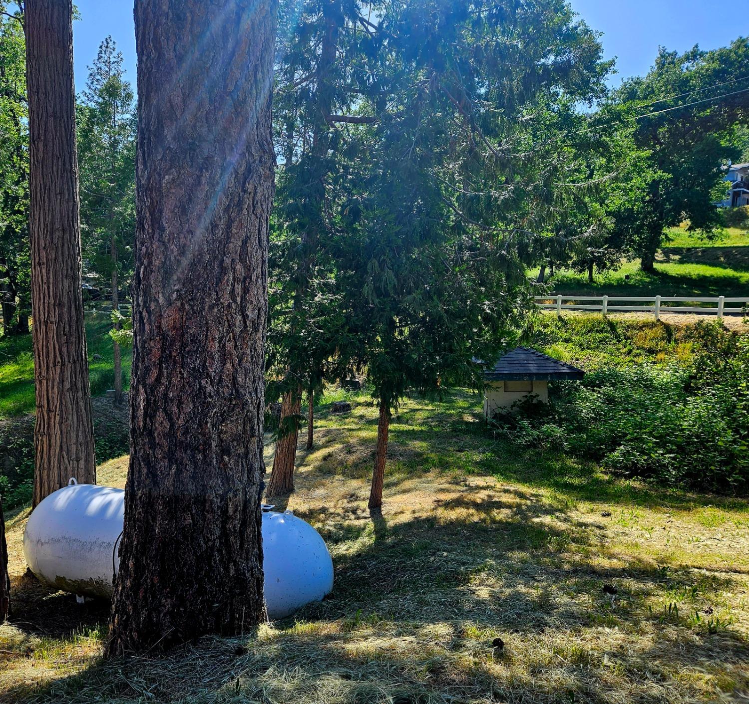 52946 Timberview Road North Fork, CA 93643 - Photo 64 of 65 Gallery Image 64