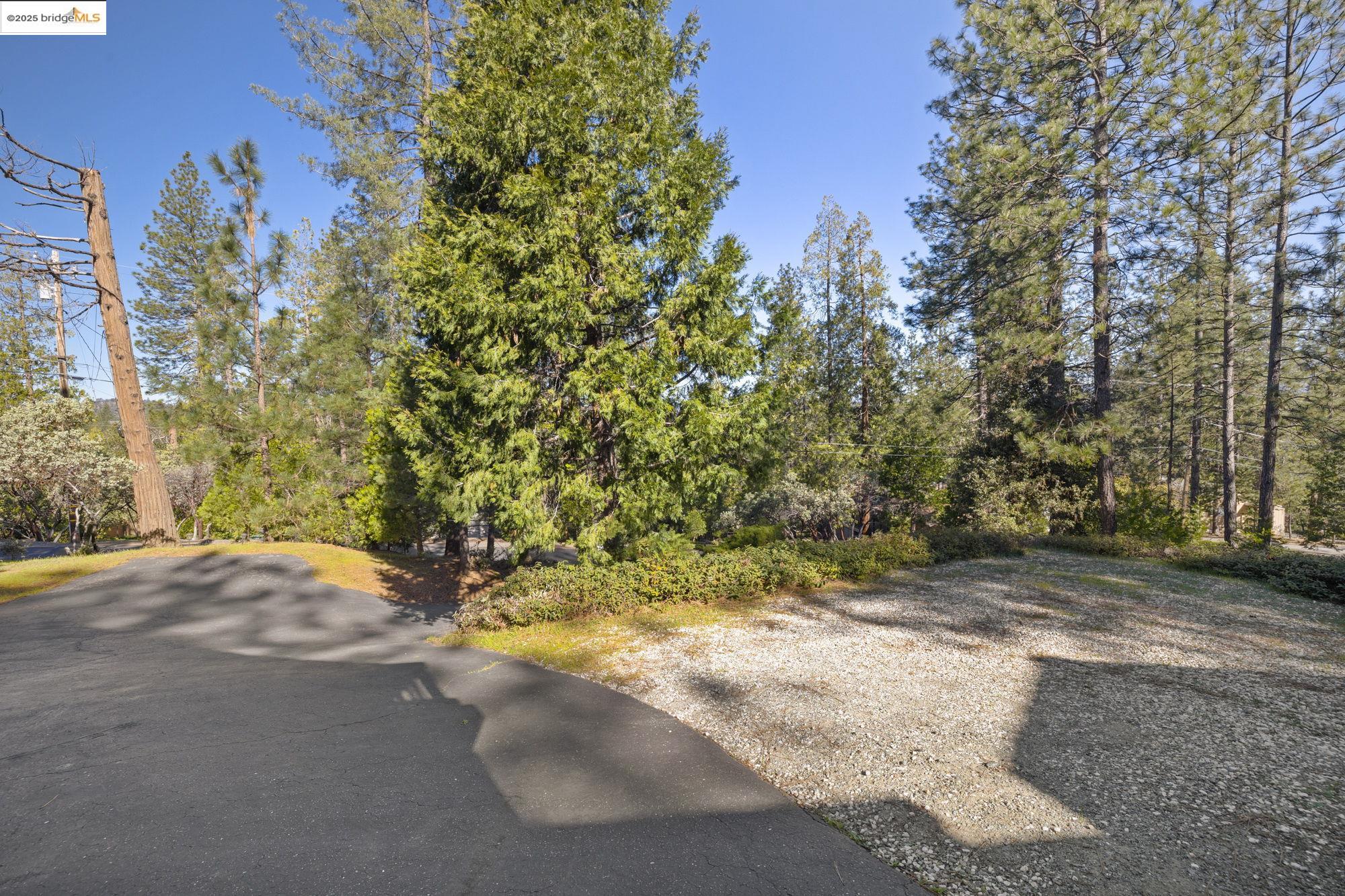 12080 Breckenridge Road Groveland, CA 95321 - Photo 29 of 48 a view of a yard with a tree