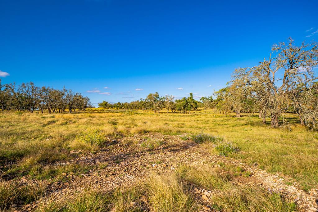 Lot 41 Reservation Road, Unit 41 Harper, TX 78631 - Photo 1 of 6 Main View