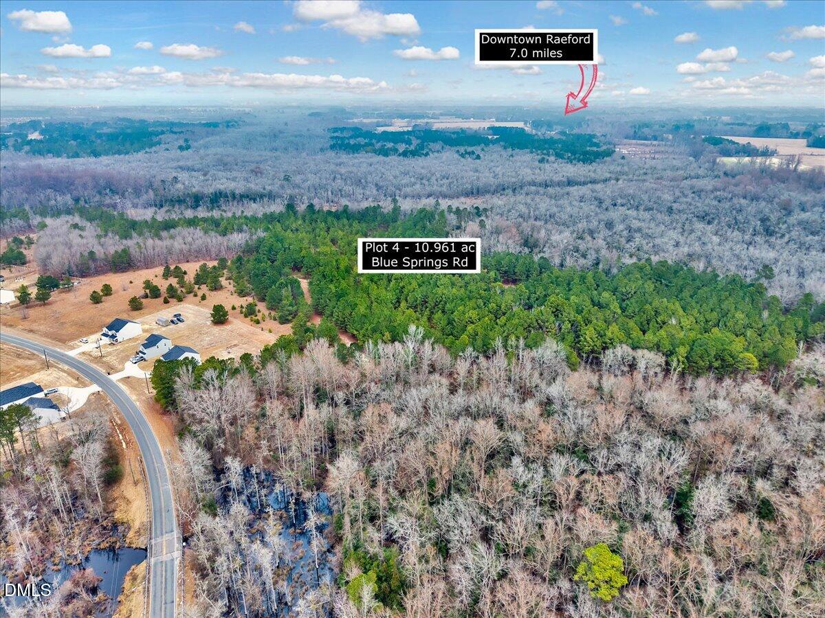 Lot 4 Blue Springs Road Red Springs, NC 28377 - Photo 6 of 9 a view of a dry yard with large trees