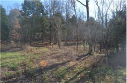 2096 George Scott Road Woodbury, TN 37190 - Photo 10 of 11 Plenty of trails to ride on with your horses or 4-wheelers. If you have a Realtor, tell them to call for a showing. If you don't have one, call me and I'll set one up for you.