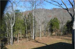 2096 George Scott Road Woodbury, TN 37190 - Photo 9 of 11 Here's a view of your neighbors.