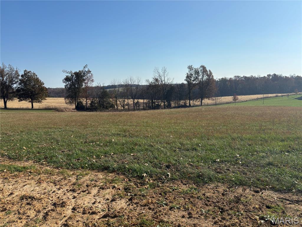 25 Tyler Branch Road Perryville, MO 63775 - Photo 11 of 16