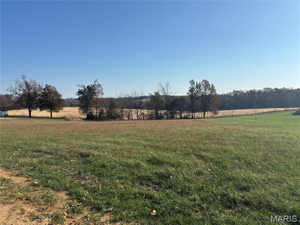 25 Tyler Branch Road Perryville, MO 63775 - Photo 10 of 16