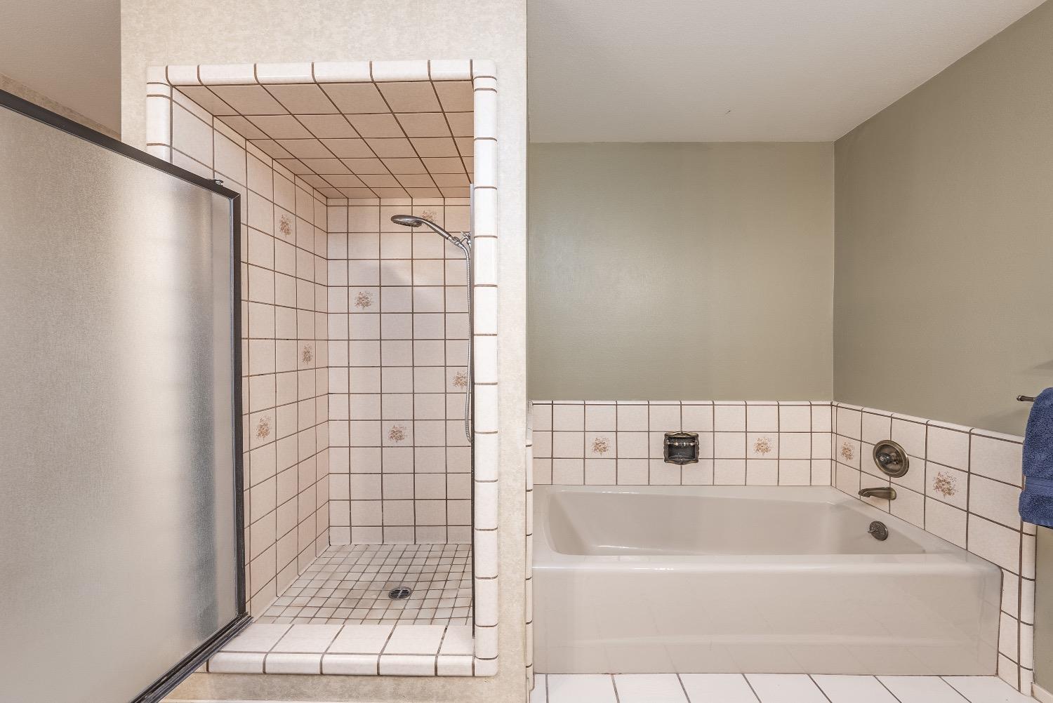 28 Seasons Court Madera, CA 93637 - Photo 20 of 47 a bathroom with a bathtub and shower