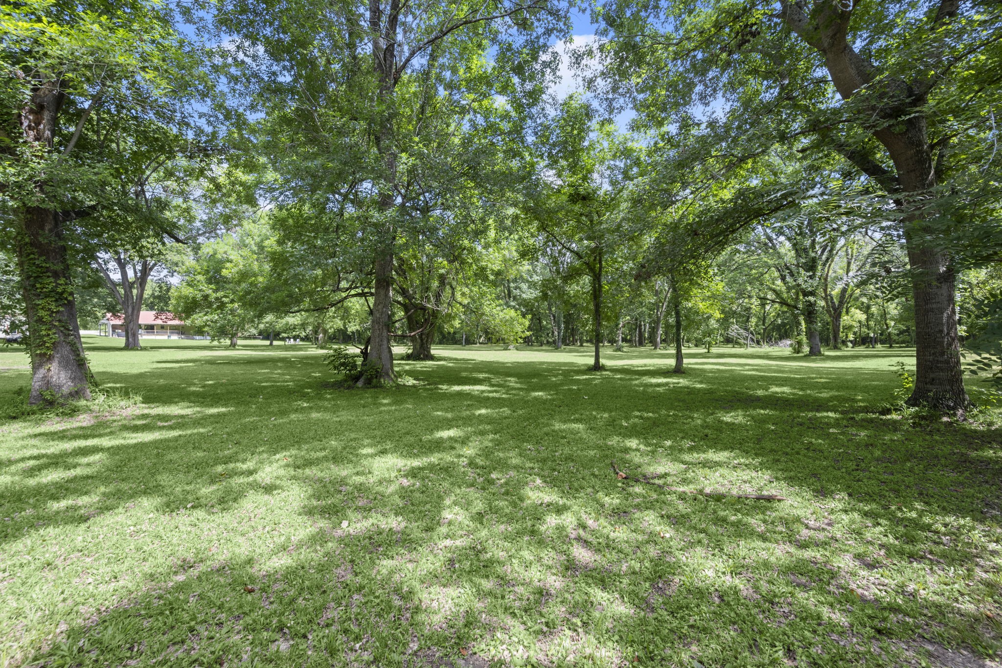 5298 Circle View Montgomery, TX 77316 - Photo 33 of 36