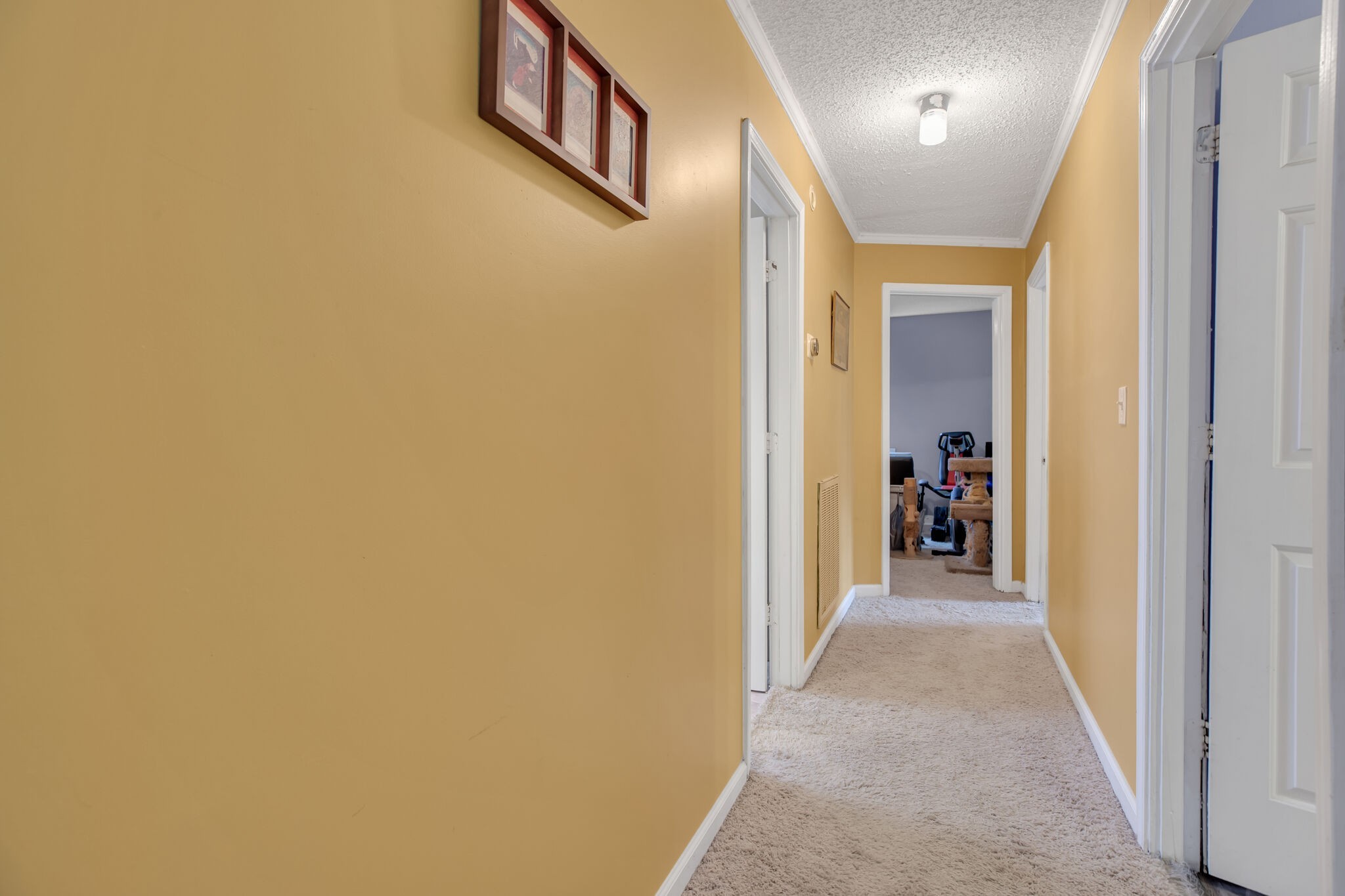3801 Barfield Crescent Road Murfreesboro, TN 37128 - Photo 13 of 23 Gallery Image 13