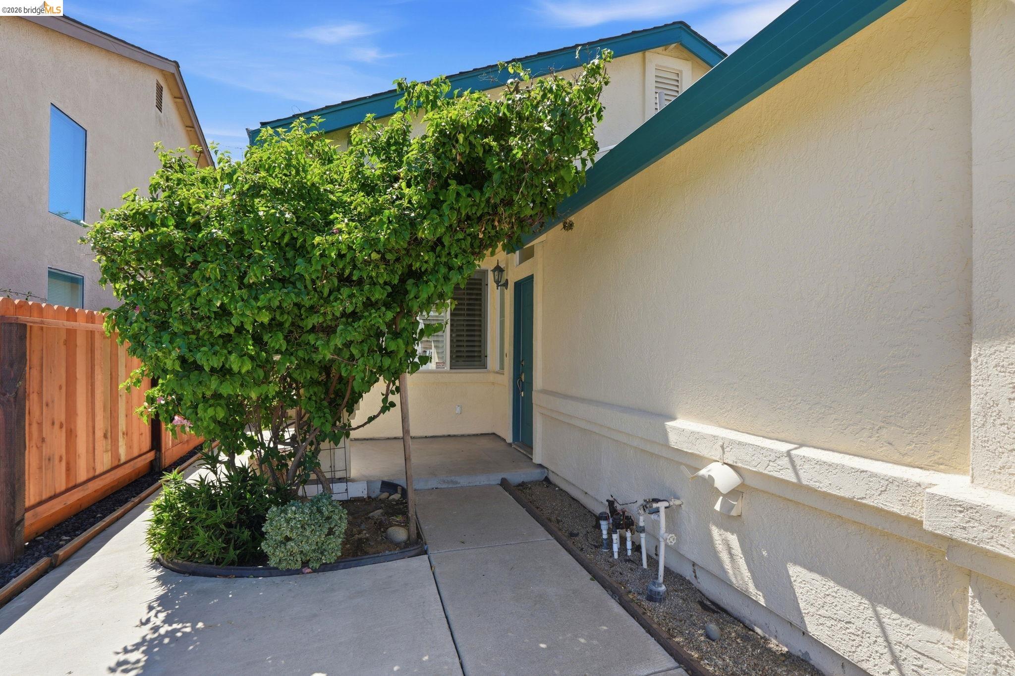 4465 Fall Lane Oakley, CA 94561 - Photo 24 of 26 a potted plant sitting in front of a door