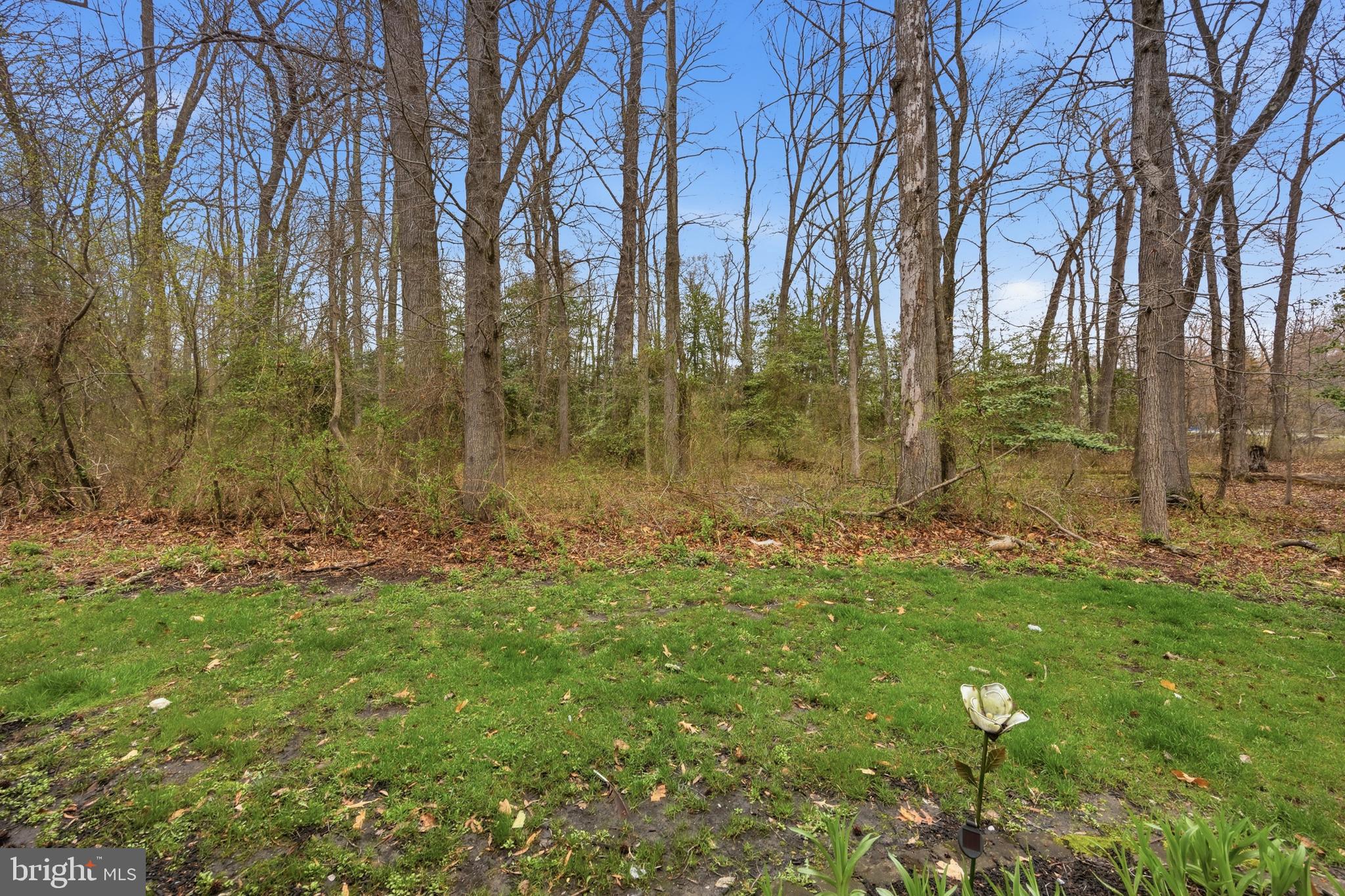705 Quail Road Marlton, NJ 08053 - Photo 28 of 28 View from patio