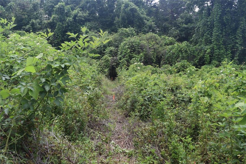 792 Lower Dowda Mill Road Jasper, GA 30143 - Photo 25 of 35