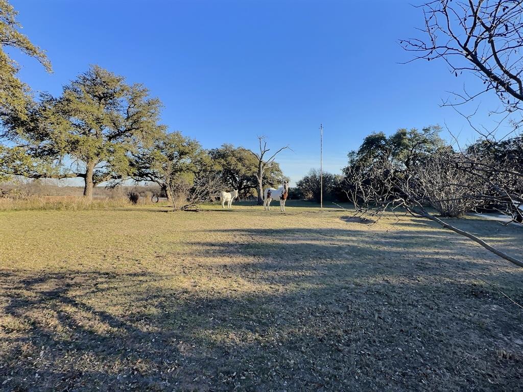 3718 Highway 36 Rising Star, TX 76471 - Photo 33 of 40 a view of an ocean and trees