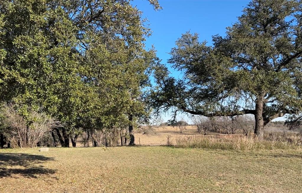 3718 Highway 36 Rising Star, TX 76471 - Photo 34 of 40 a view of a yard with large trees