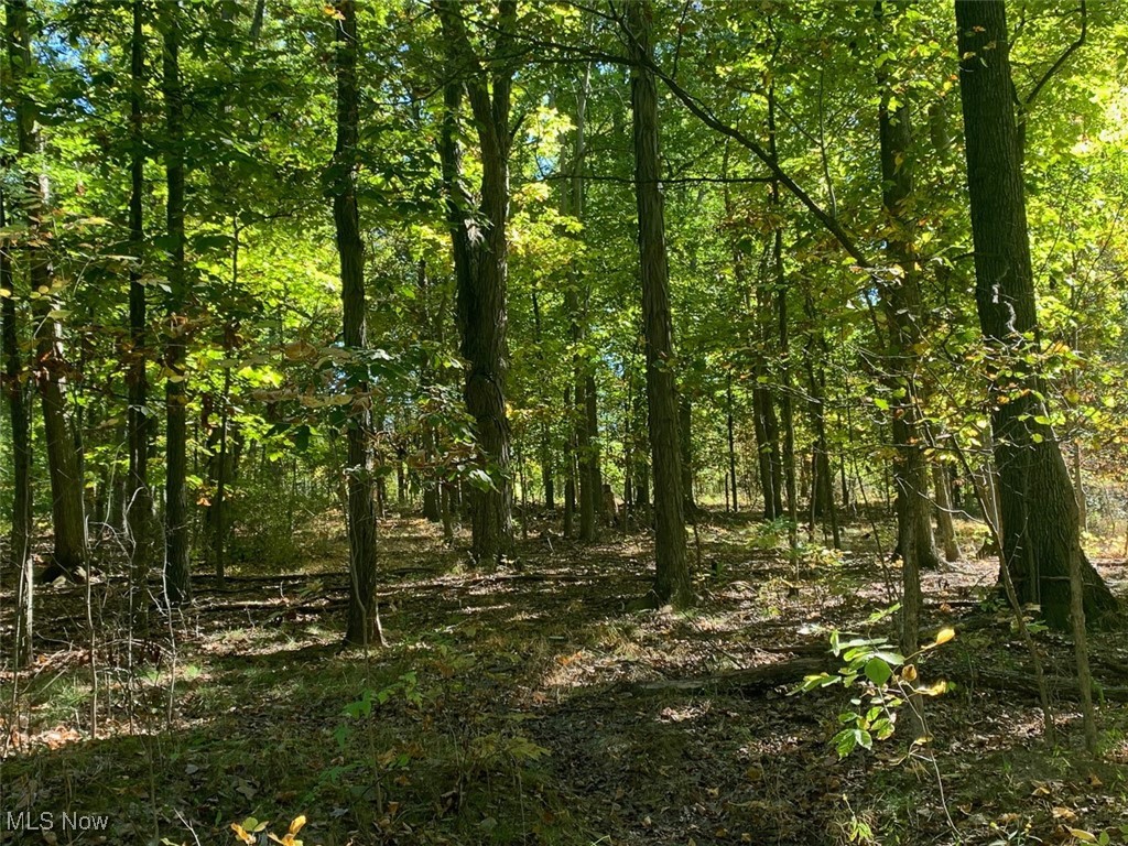 19345 Ridge Road North Royalton, OH 44133 - Photo 22 of 47 View of tree filled area
