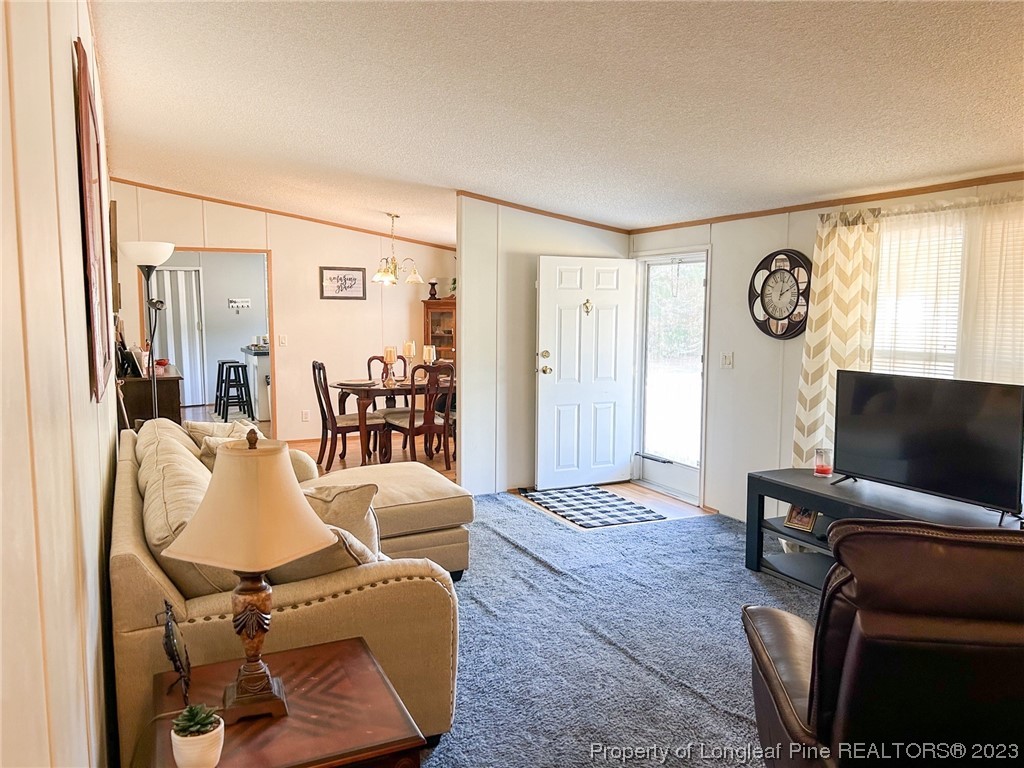 259 Burch Road Lumberton, NC 28360 - Photo 12 of 13 a living room with furniture a flat screen tv and a window