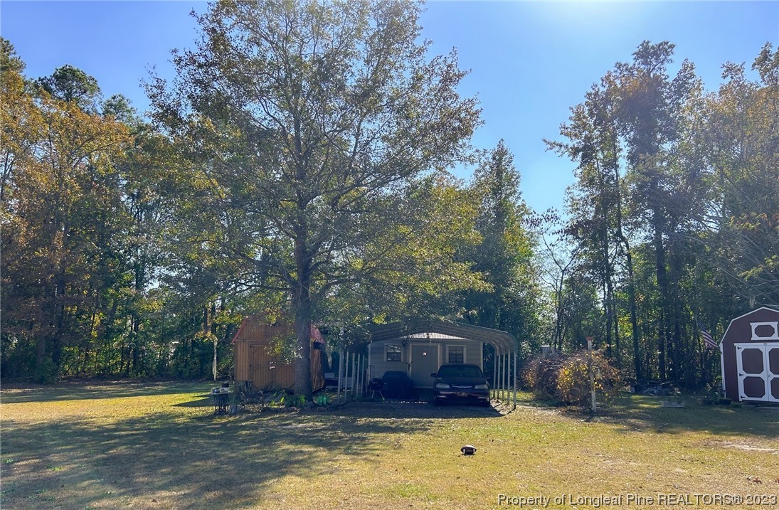 259 Burch Road Lumberton, NC 28360 - Photo 4 of 13 a view of swimming pool with trees in the background
