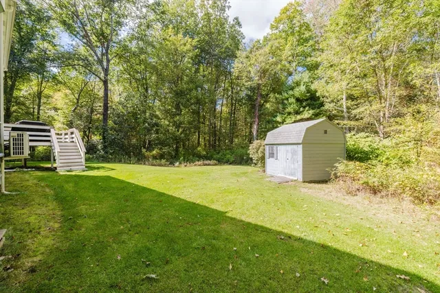 a view of a big yard with plants and a bench