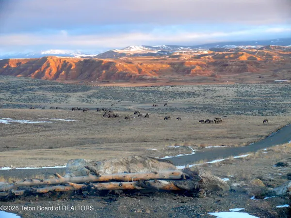$185,000 | Lot 4 Flying Frog Lane, Dubois, WY 82513