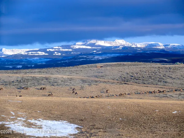 $185,000 | Lot 4 Flying Frog Lane, Dubois, WY 82513