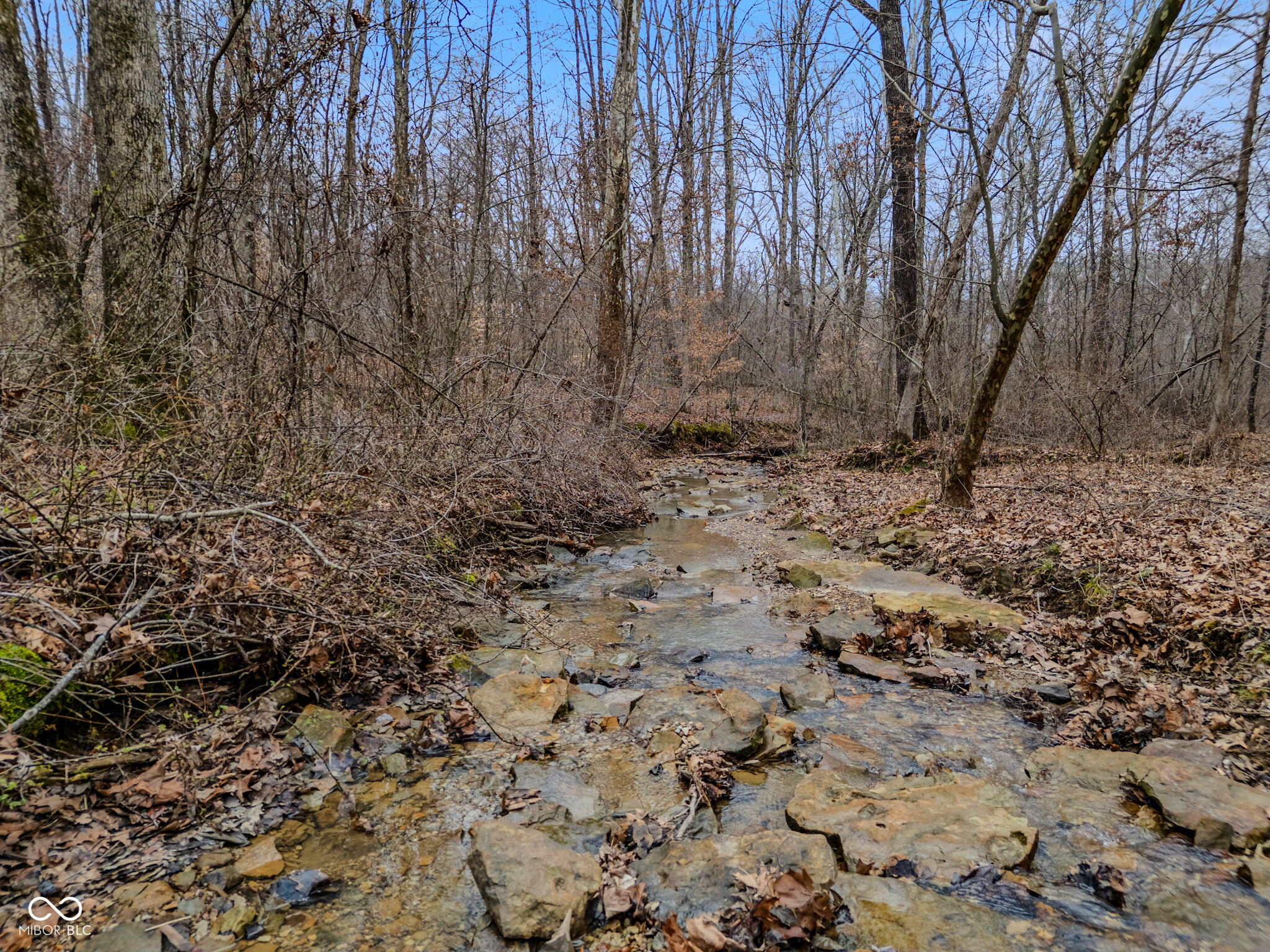 0 Ogle Road Nashville, IN 47448 - Photo 5 of 13