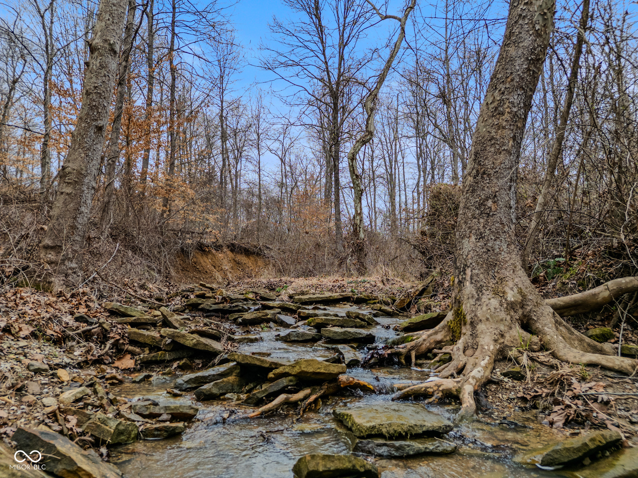 0 Ogle Road Nashville, IN 47448 - Photo 6 of 13