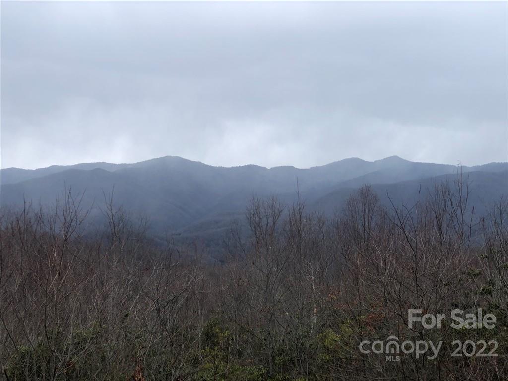 Lot 252 Tote Road, Unit 252 Sylva, NC 28779 - Photo 2 of 10 a view of a dry field