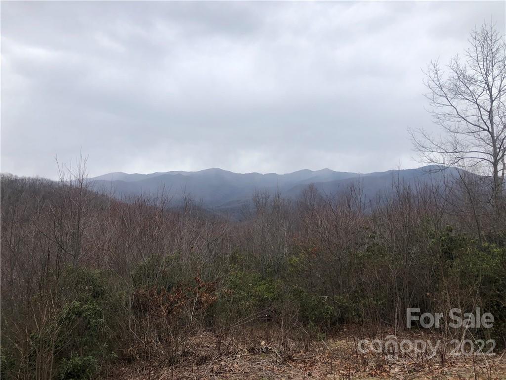 Lot 252 Tote Road, Unit 252 Sylva, NC 28779 - Photo 3 of 10 a view of a city with lush green forest