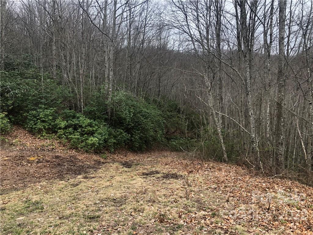 Lot 252 Tote Road, Unit 252 Sylva, NC 28779 - Photo 4 of 10 a view of a yard with plants and trees