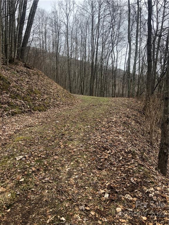 Lot 252 Tote Road, Unit 252 Sylva, NC 28779 - Photo 5 of 10 a view of a yard with large trees