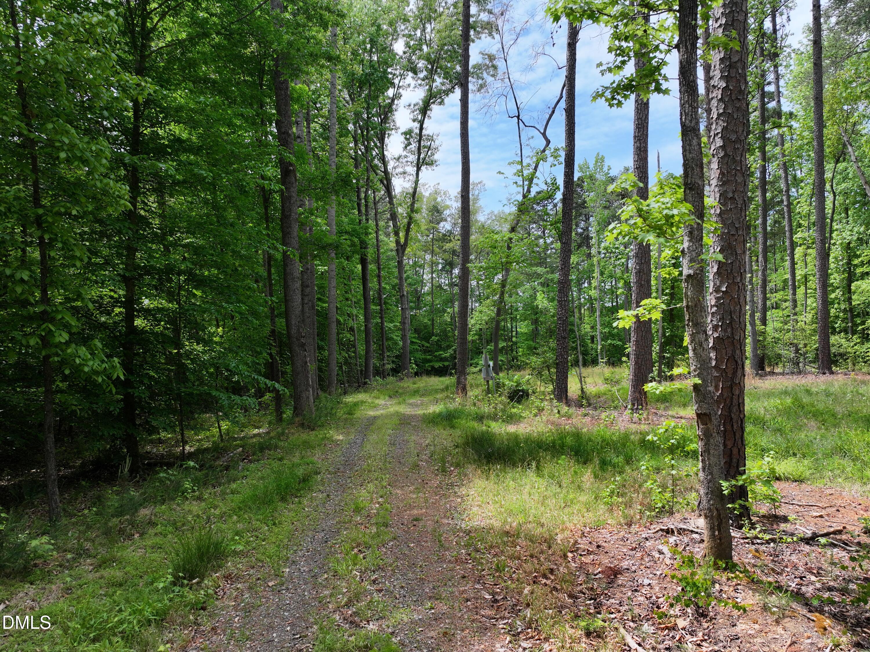 75 Max Finn Lane Roxboro, NC 27574 - Photo 1 of 17 a view of a garden with trees