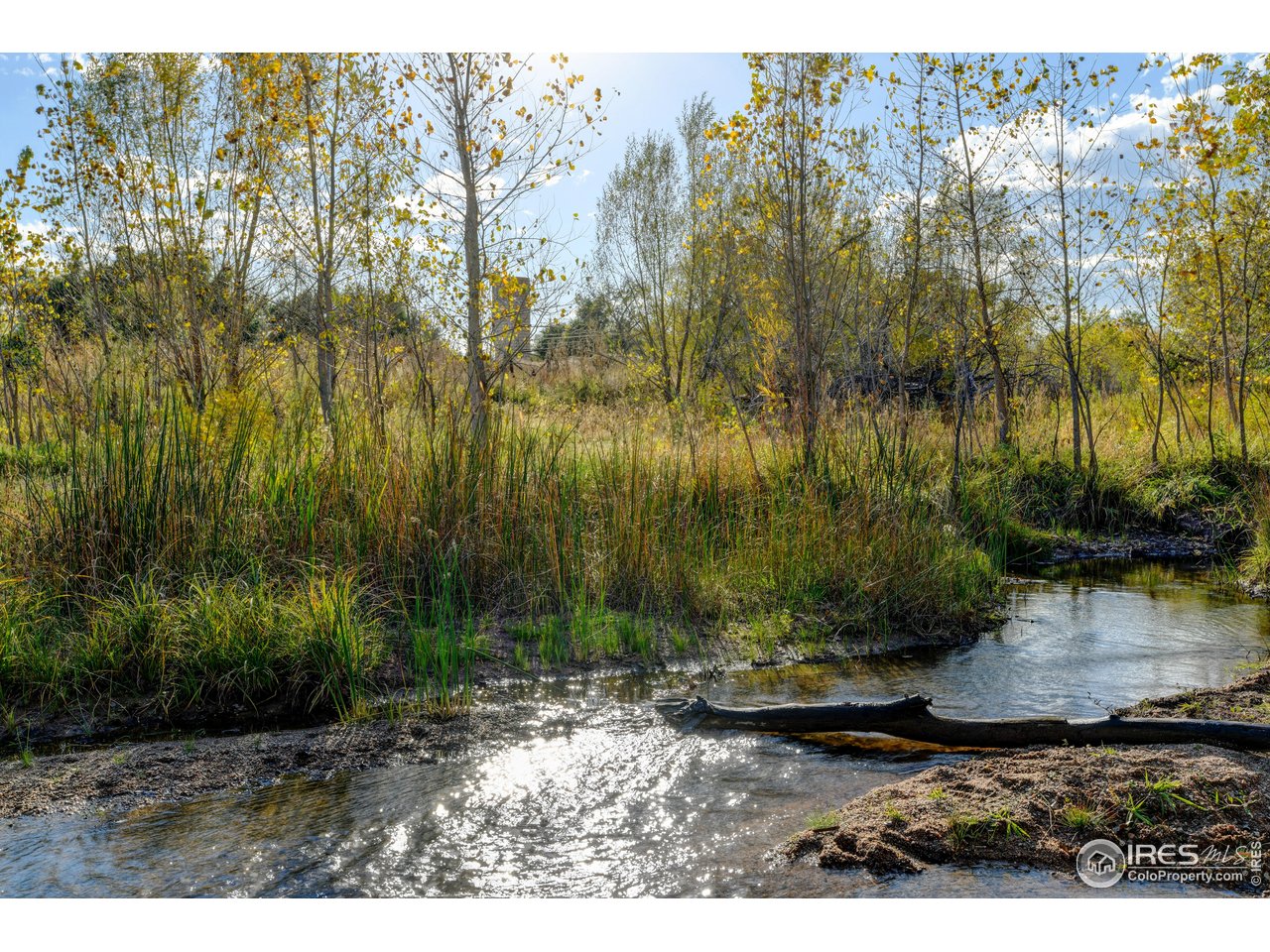 Rodney Lane Berthoud, CO 80513 - Photo 13 of 16 a backyard of a house with lots of green space