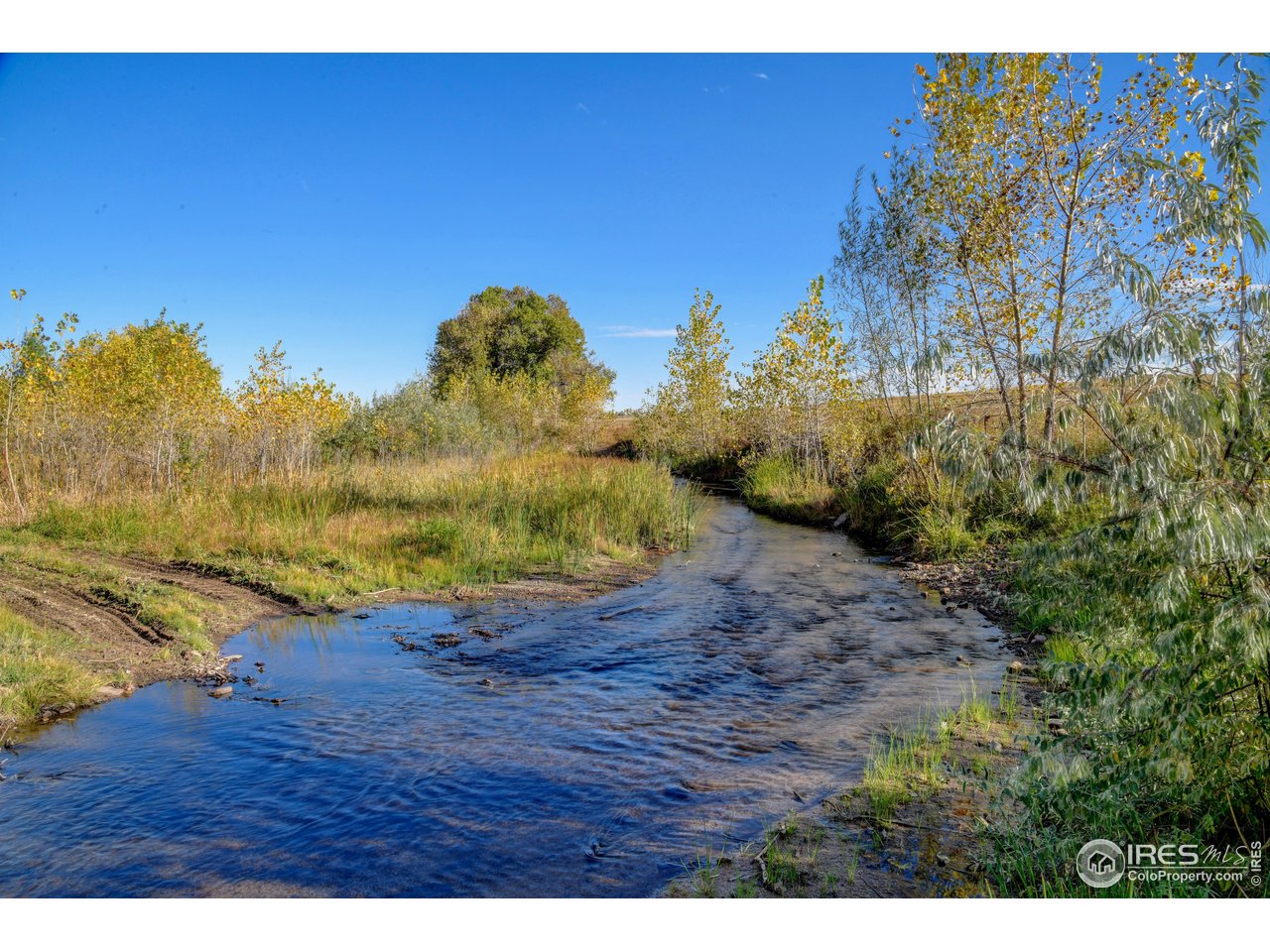 Rodney Lane Berthoud, CO 80513 - Photo 10 of 16