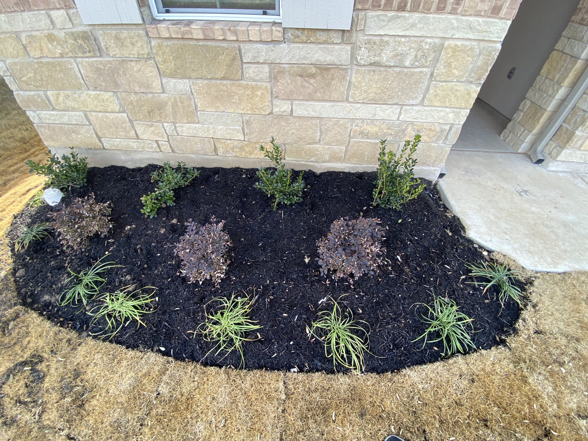236 Sunniberg Loop Georgetown, TX 78626 - Photo 21 of 22 Neat stone masonry highlights the exterior architecture alongside curated garden plantings.