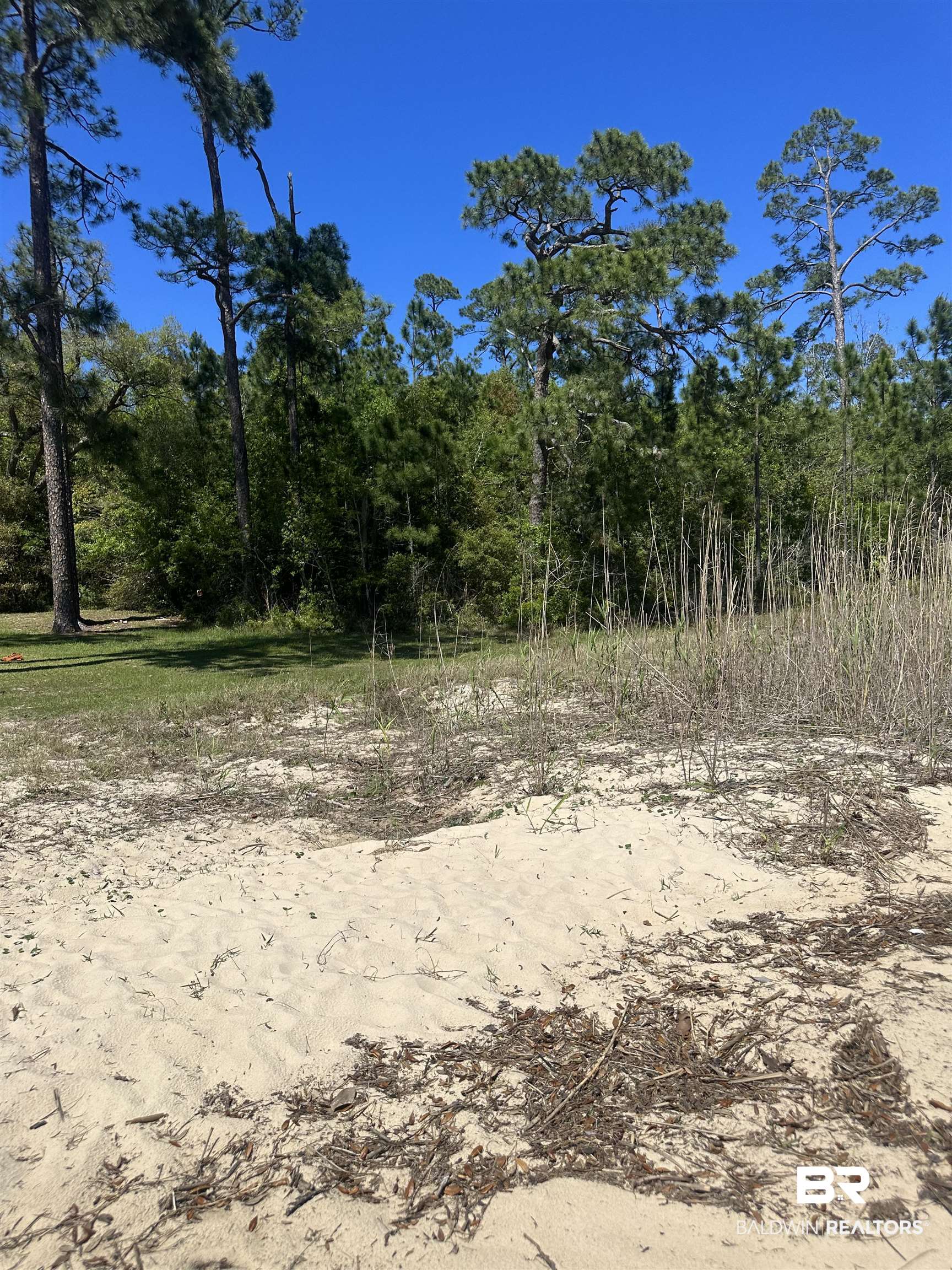 13206 2nd Street Lillian, AL 36549 - Photo 15 of 23