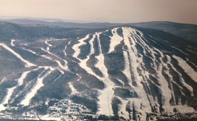 8 A Freestyle Circle, Unit 5 West Dover, VT 05356 - Photo 2 of 8