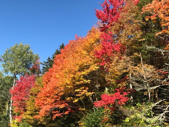 8 A Freestyle Circle, Unit 5 West Dover, VT 05356 - Photo 4 of 8