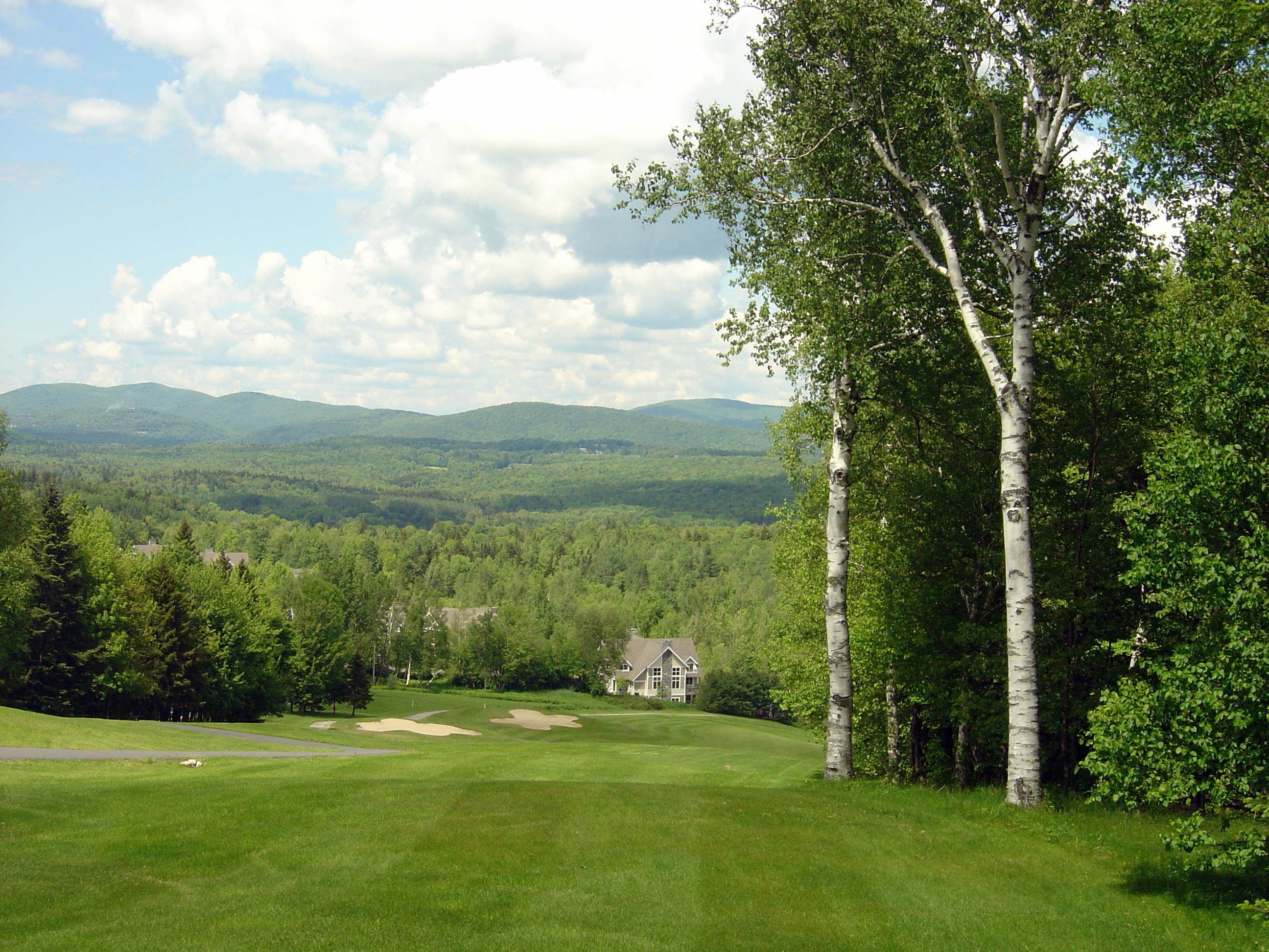 8 A Freestyle Circle, Unit 5 West Dover, VT 05356 - Photo 7 of 8